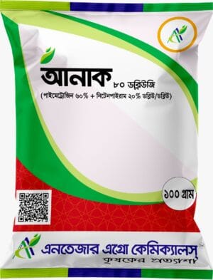 আনাক ৮০ ডব্লিউজি