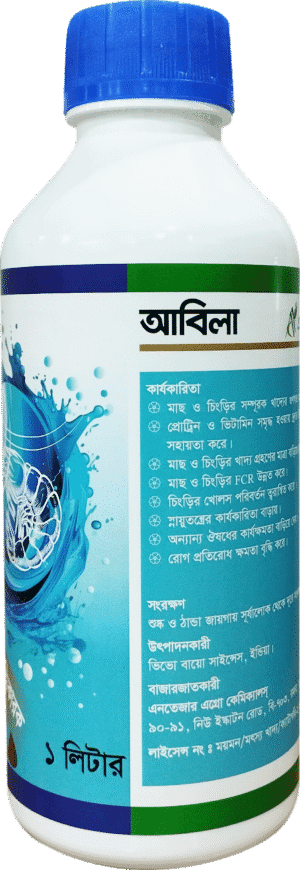 আবিলা