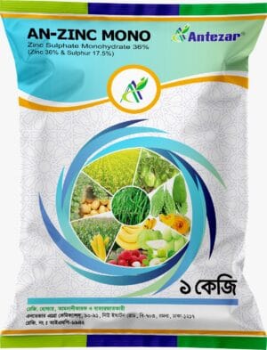 এন-জিংক মনো