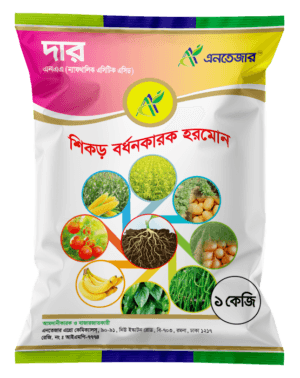দার
