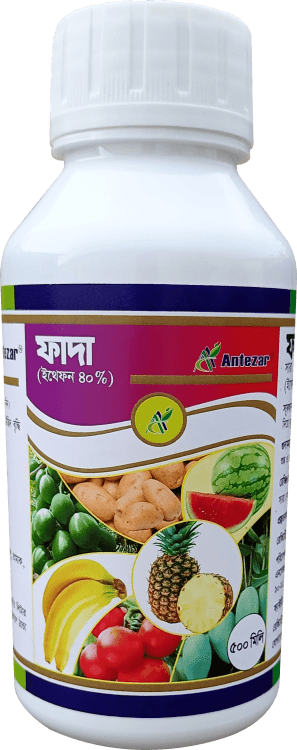 ফাদা
