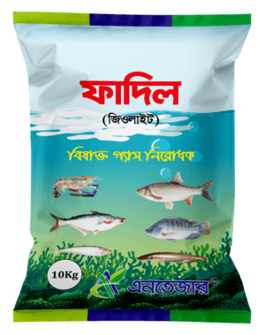ফাদিল