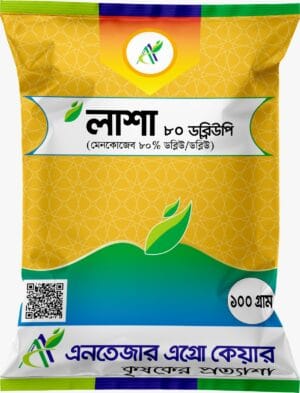 লাশা ৮০ ডব্লিউপি