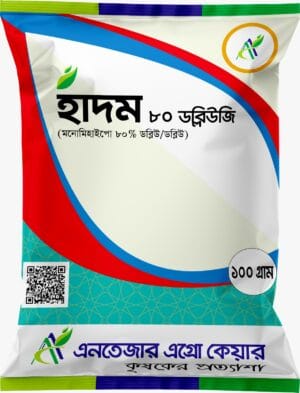 হাদম ৮০ ডব্লিউজি
